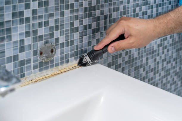 Best Mold Testing  in Lindsay, TX