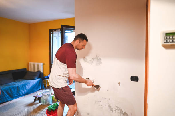 Best Mold Removal Near Me  in Lindsay, TX